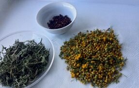 bylinky k odstranění parazitů z těla